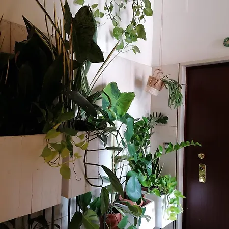 民宿 Privata Con Bagno E Garage